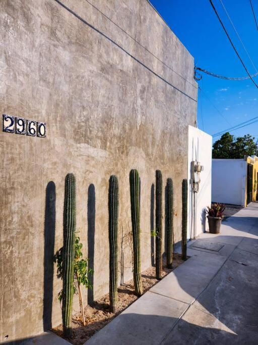 דירות לה פז Departamento Con Terraza מראה חיצוני תמונה